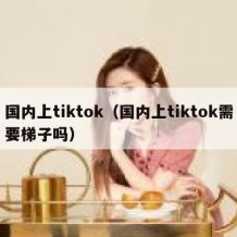 国内上tiktok（国内上tiktok需要梯子吗）