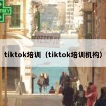 tiktok培训（tiktok培训机构）