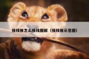接线板怎么接线图解（接线板示意图）