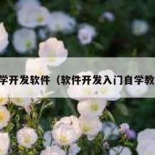 自学开发软件（软件开发入门自学教程）