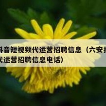 六安抖音短视频代运营招聘信息（六安抖音短视频代运营招聘信息电话）