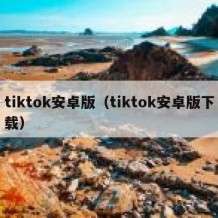 tiktok安卓版（tiktok安卓版下载）