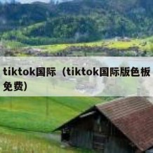 tiktok国际（tiktok国际版色板免费）
