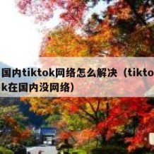 国内tiktok网络怎么解决（tiktok在国内没网络）