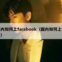 国内如何上facebook（国内如何上外网）