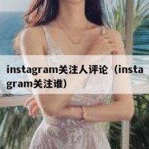 instagram关注人评论（instagram关注谁）