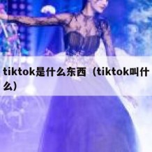 tiktok是什么东西（tiktok叫什么）