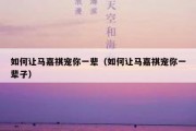 如何让马嘉祺宠你一辈（如何让马嘉祺宠你一辈子）