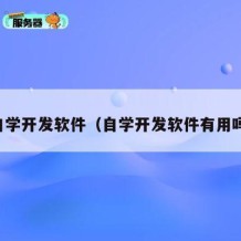 自学开发软件（自学开发软件有用吗）