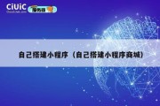 自己搭建小程序（自己搭建小程序商城）