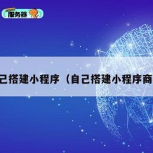 自己搭建小程序（自己搭建小程序商城）