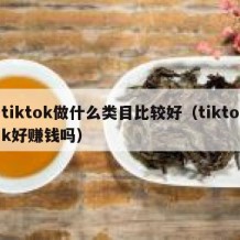 tiktok做什么类目比较好（tiktok好赚钱吗）