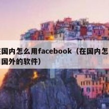 在国内怎么用facebook（在国内怎么用国外的软件）