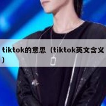 tiktok的意思（tiktok英文含义）