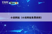 小说网站（小说网站免费阅读）