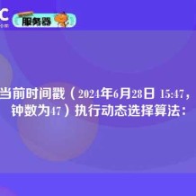 根据当前时间戳（2024年6月28日 15:47，即分钟数为47）执行动态选择算法：