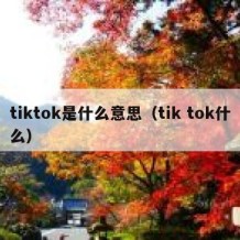 tiktok是什么意思（tik tok什么）