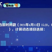 根据当前时间戳（2024年6月13日 15:28，UTC+8），计算动态项目选择：