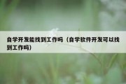 自学开发能找到工作吗（自学软件开发可以找到工作吗）