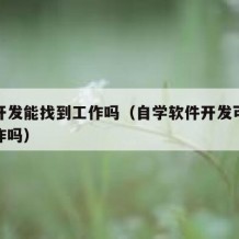自学开发能找到工作吗（自学软件开发可以找到工作吗）