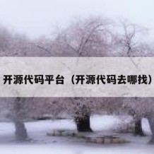 开源代码平台（开源代码去哪找）