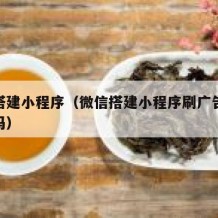 微信搭建小程序（微信搭建小程序刷广告赚钱真的吗）