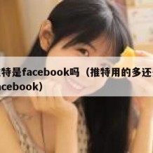 推特是facebook吗（推特用的多还是facebook）