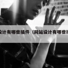 网站设计有哪些插件（网站设计有哪些插件类型）