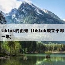 tiktok的由来（tiktok成立于哪一年）