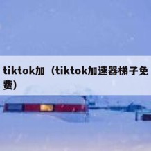 tiktok加（tiktok加速器梯子免费）