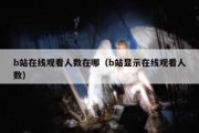b站在线观看人数在哪（b站显示在线观看人数）