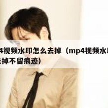 mp4视频水印怎么去掉（mp4视频水印怎么去掉不留痕迹）