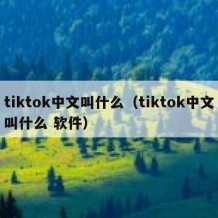 tiktok中文叫什么（tiktok中文叫什么 软件）