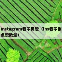 Instagram看不见赞（ins看不到点赞数量）