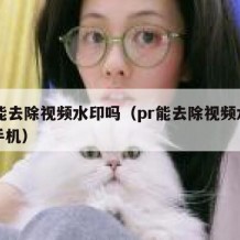 pr能去除视频水印吗（pr能去除视频水印吗手机）