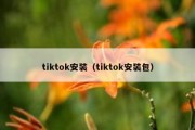 tiktok安装（tiktok安装包）