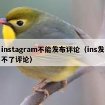 instagram不能发布评论（ins发不了评论）