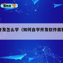 自学开发怎么学（如何自学开发软件需要学什么）