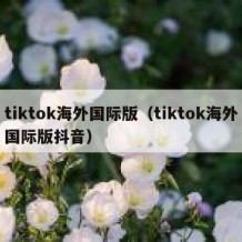 tiktok海外国际版（tiktok海外国际版抖音）