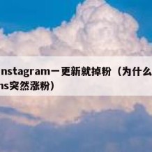 instagram一更新就掉粉（为什么ins突然涨粉）