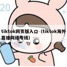 tiktok网页版入口（tiktok海外直播网络专线）