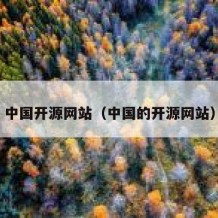 中国开源网站（中国的开源网站）