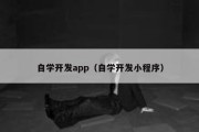 自学开发app（自学开发小程序）