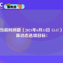 根据当前时间戳（2024年6月13日 15:47），计算动态选项目标：