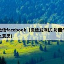 微信facebook（微信发测试,勿回什么意思）