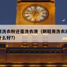 刷鞋用洗衣粉还是洗衣液（刷鞋用洗衣液好还是用什么好?）