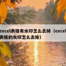 excel表格有水印怎么去掉（excel表格的水印怎么去除）