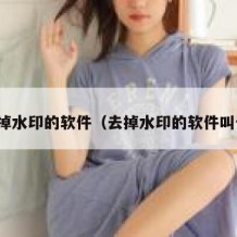 能去掉水印的软件（去掉水印的软件叫什么）
