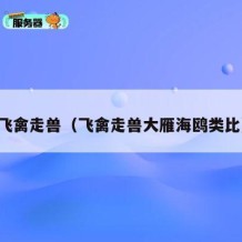 飞禽走兽（飞禽走兽大雁海鸥类比）
