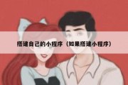 搭建自己的小程序（如果搭建小程序）